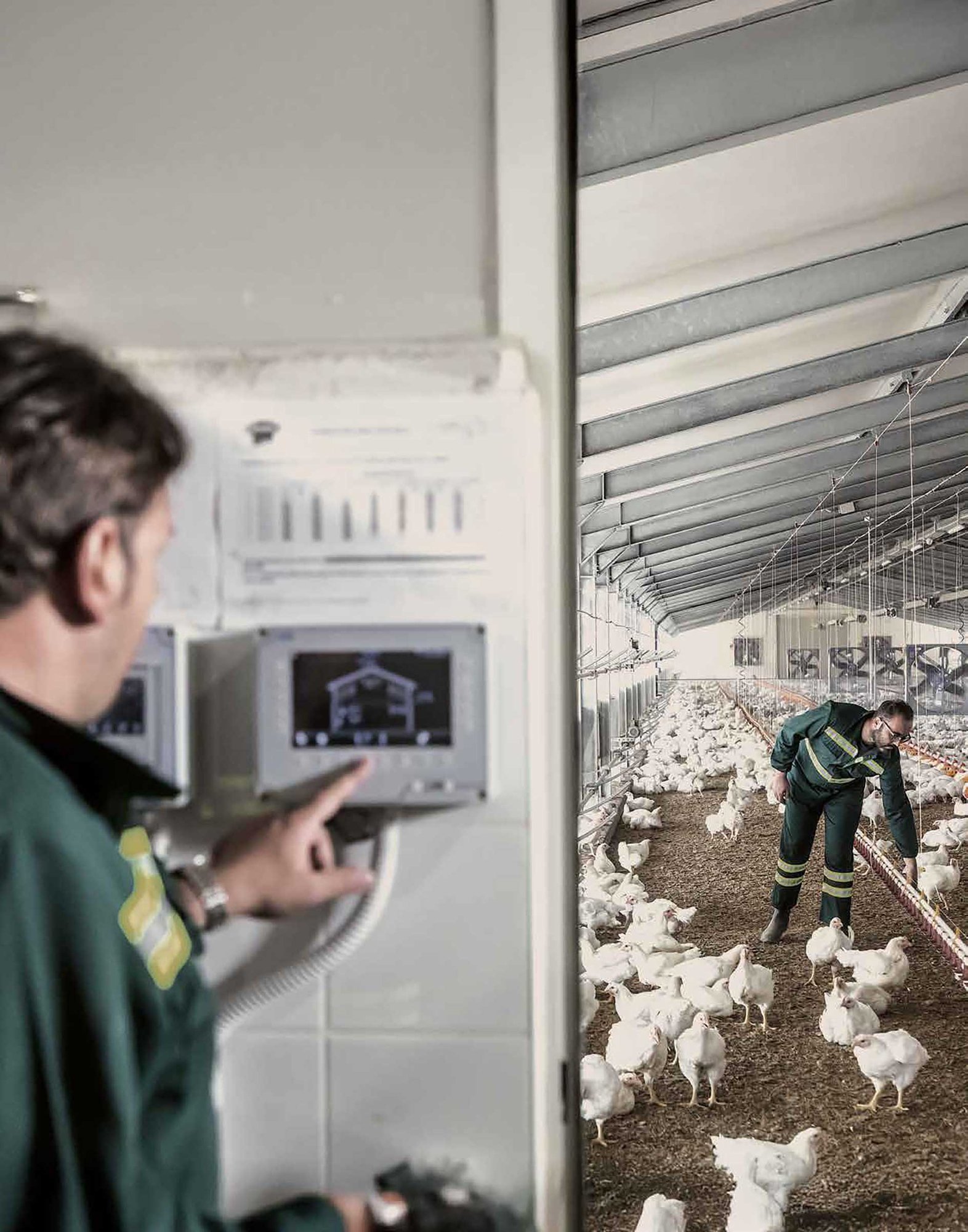 AMADORI_Bilancio_2024-13