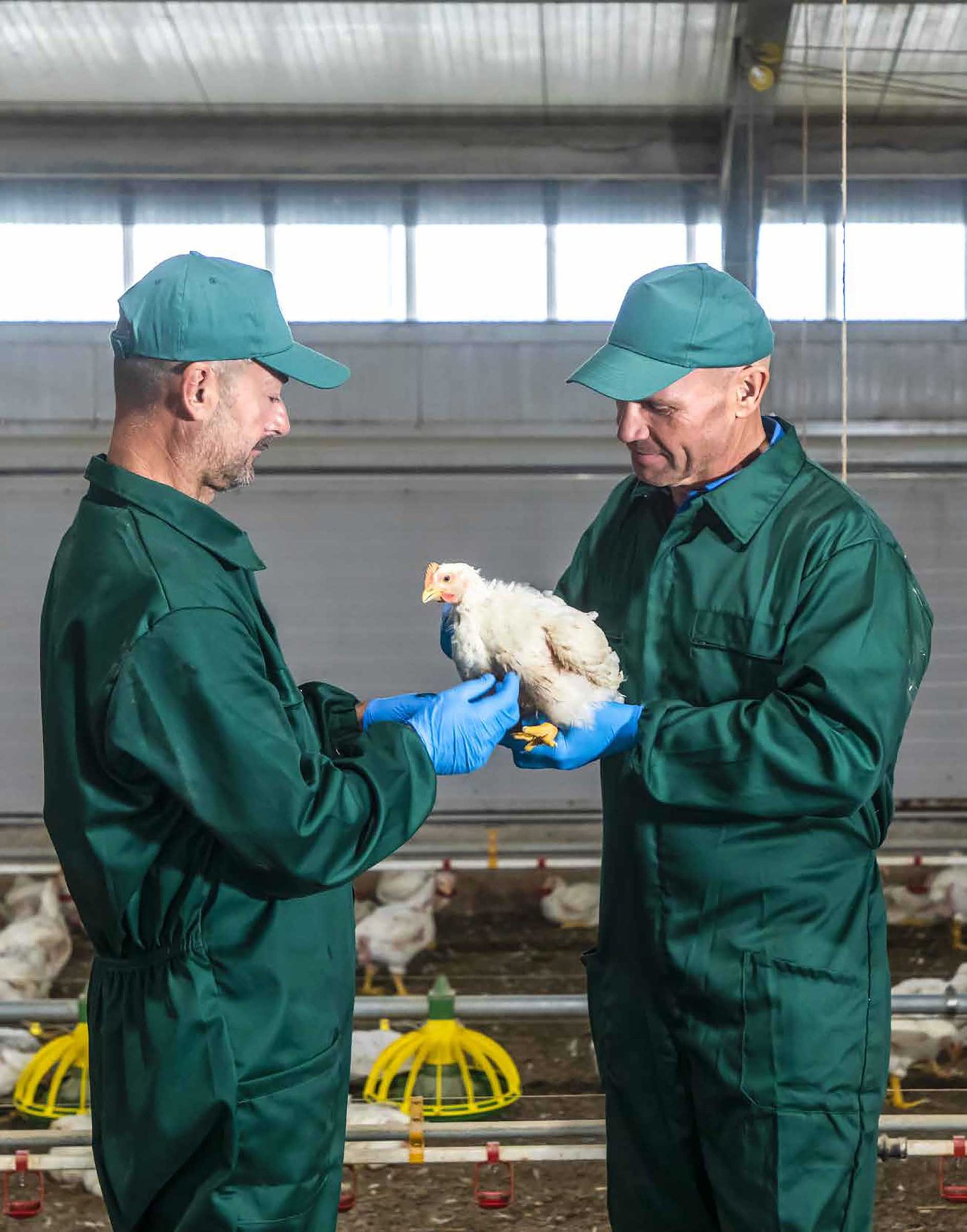 Amadori_Report_Sostenibilità_2023-45