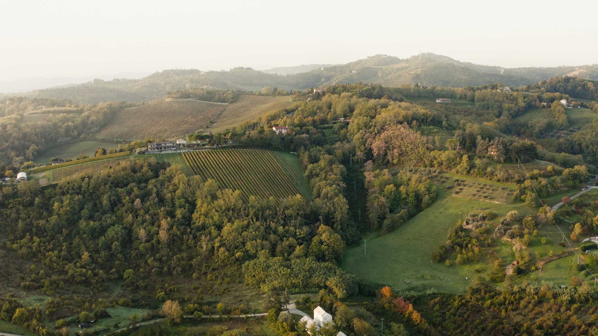 Amadori2022_Drone_10 (1)