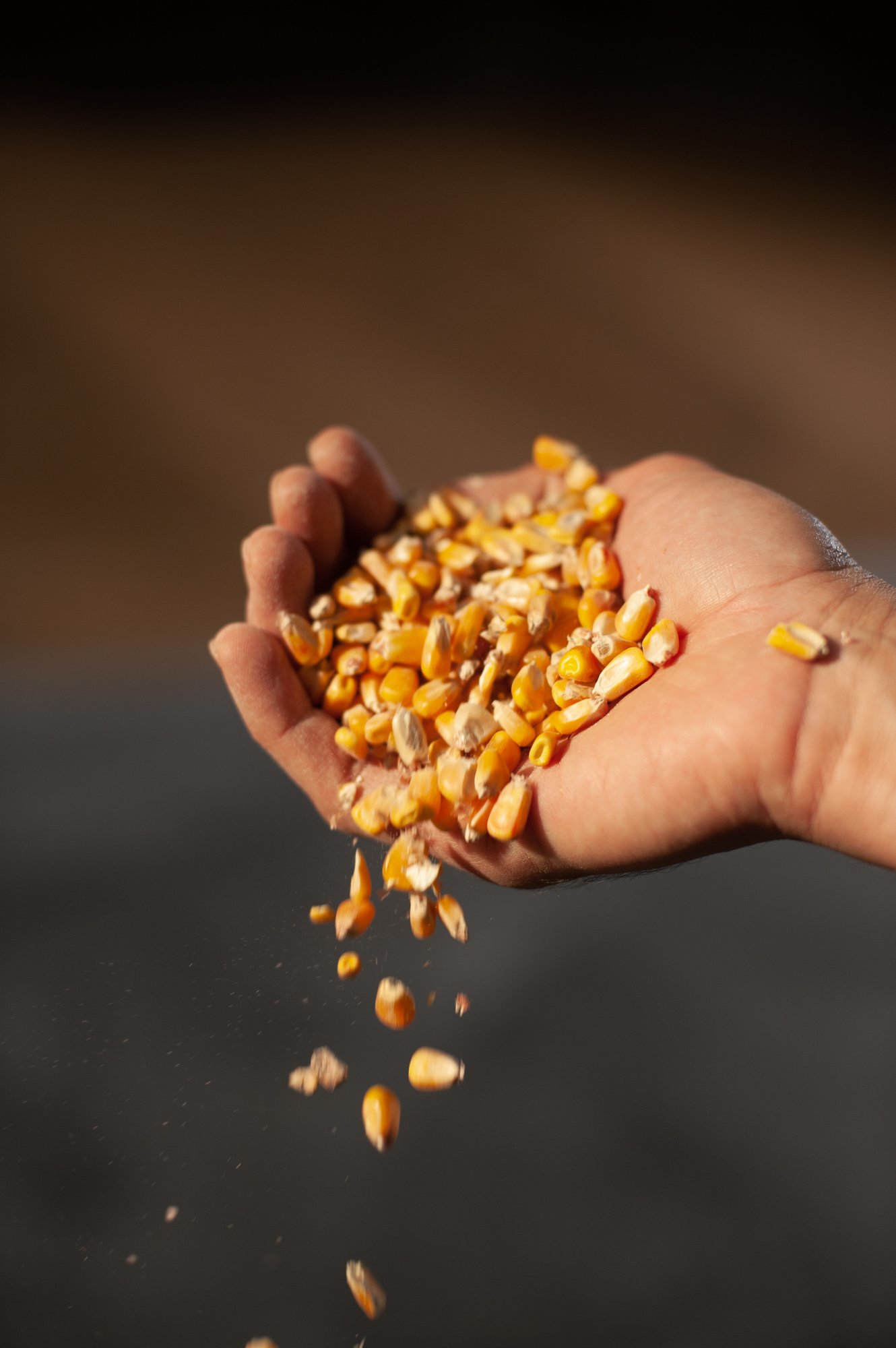 Amadori2022_Mangime_Mangimificio_3235