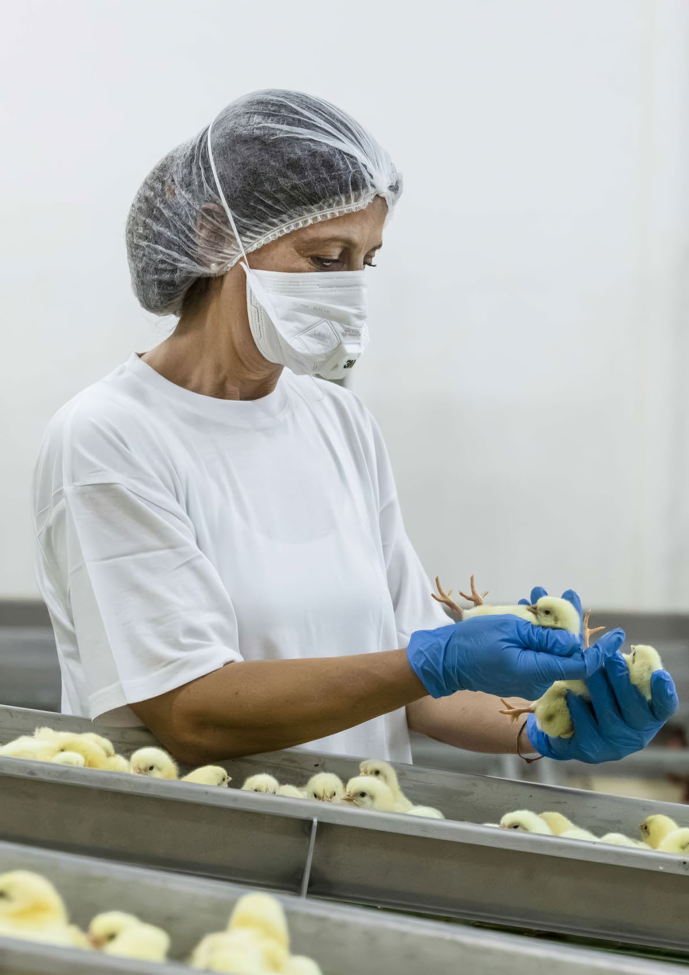 Amadori_Report_Sostenibilita_2020-30-topaz