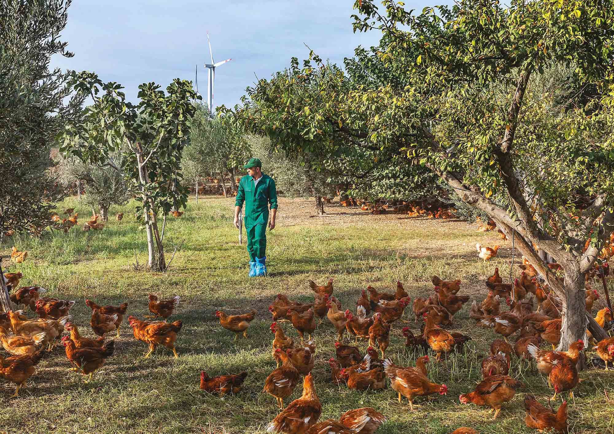 Amadori_Report_Sostenibilita_2020-5_edit