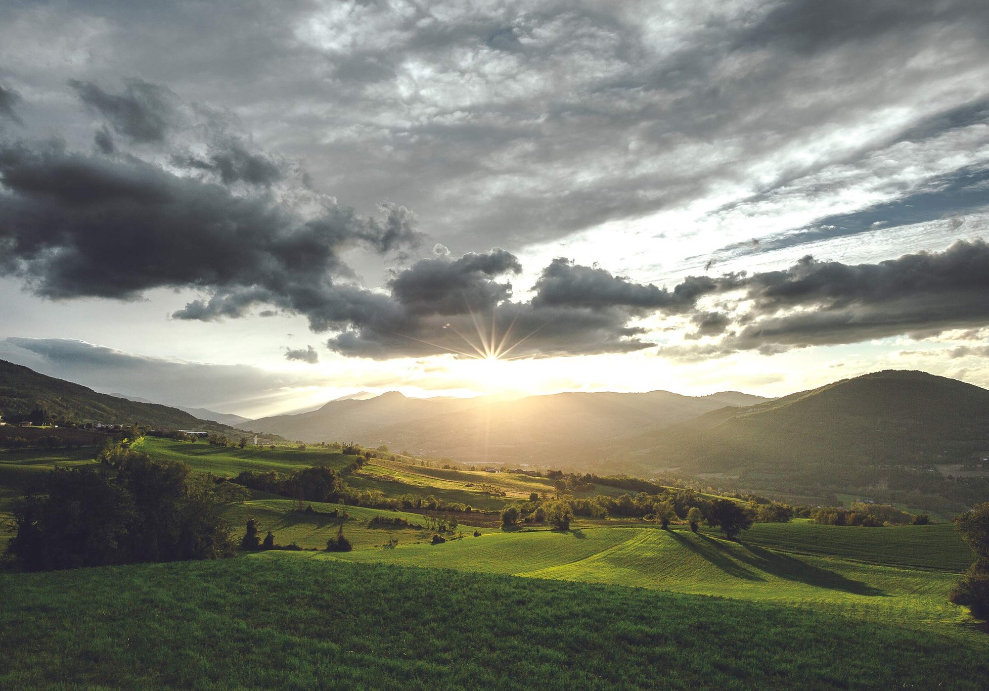 shutterstock_2368497827