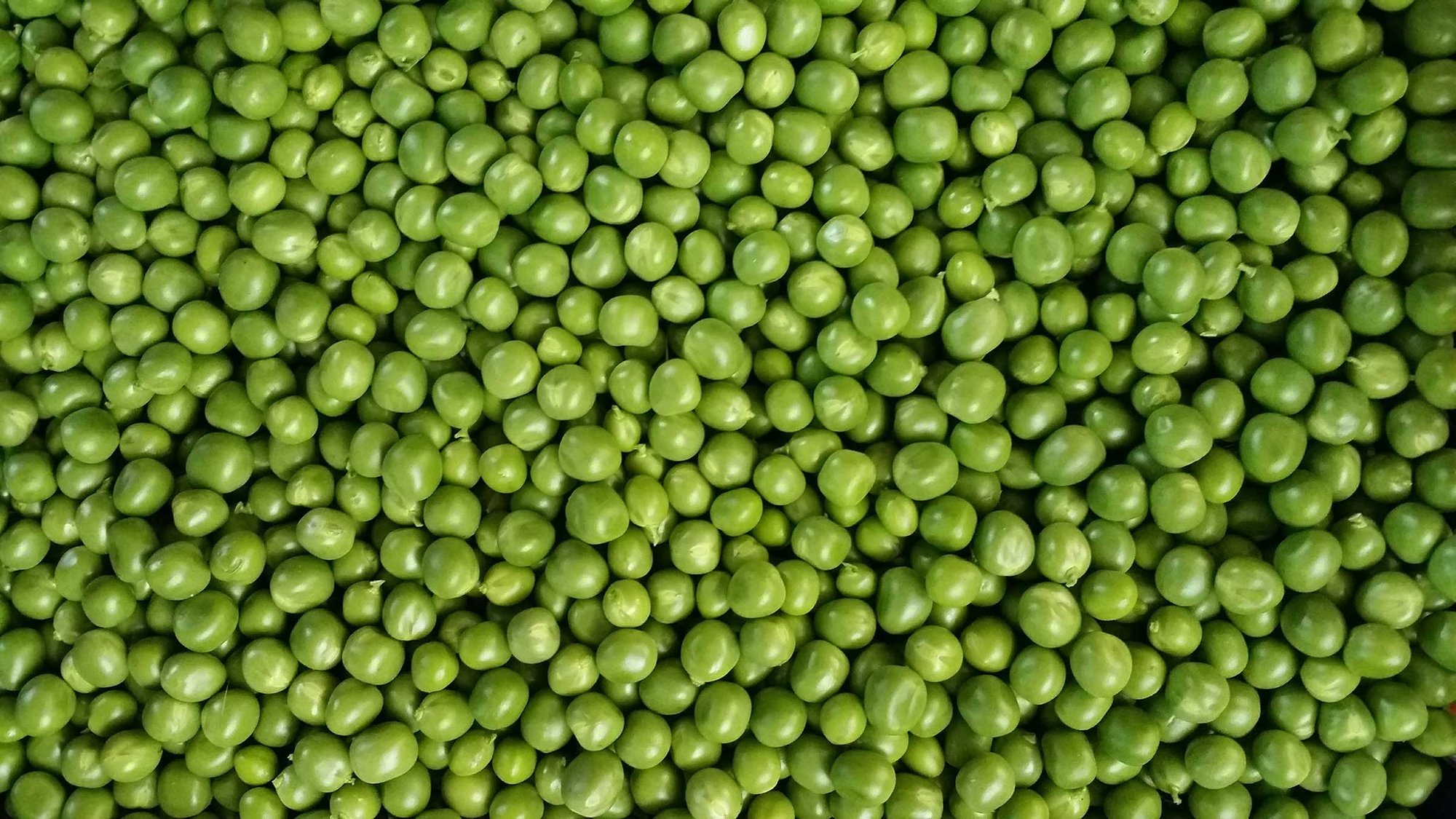 shutterstock_682788691