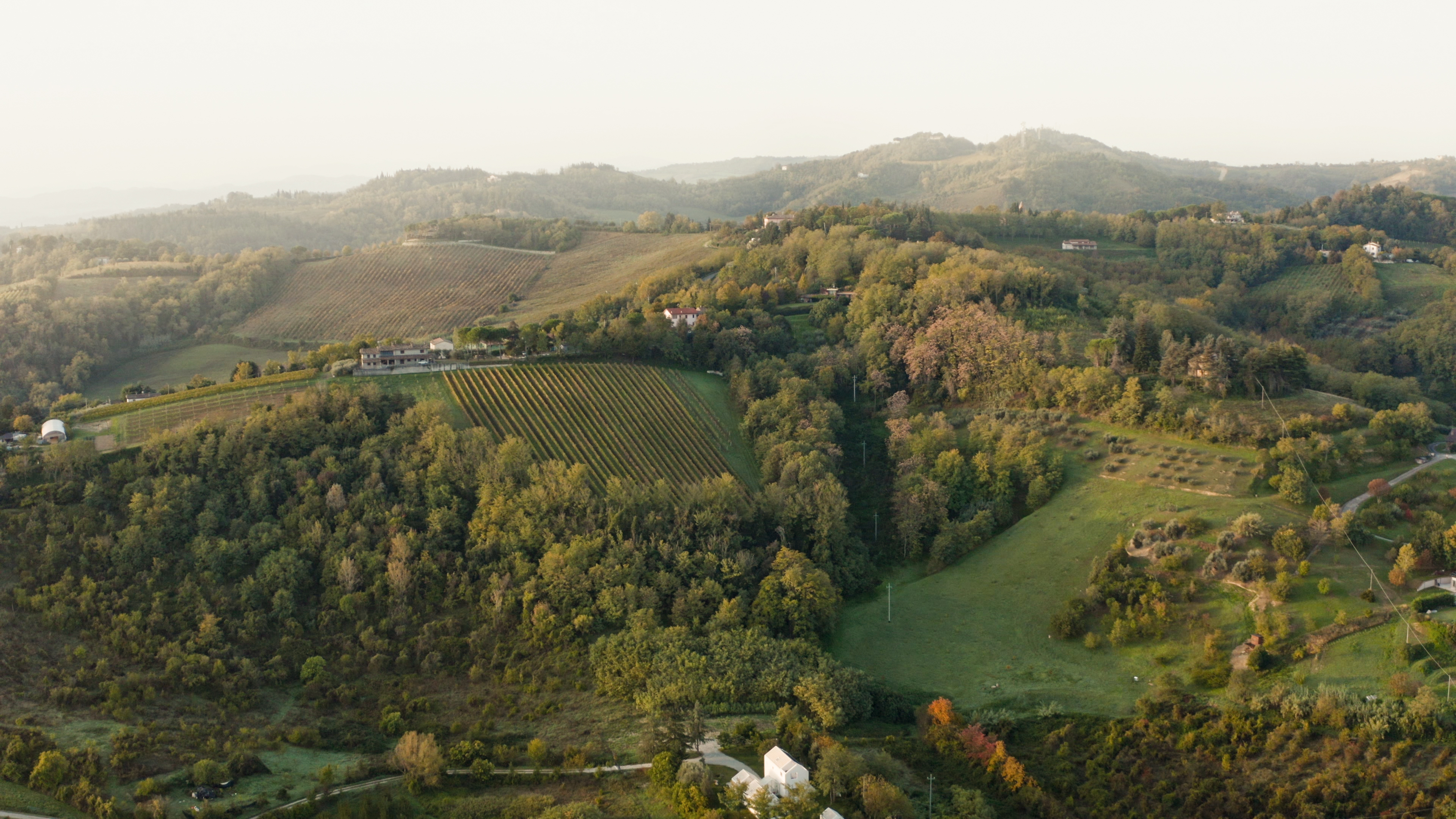 Amadori2022_Drone_10