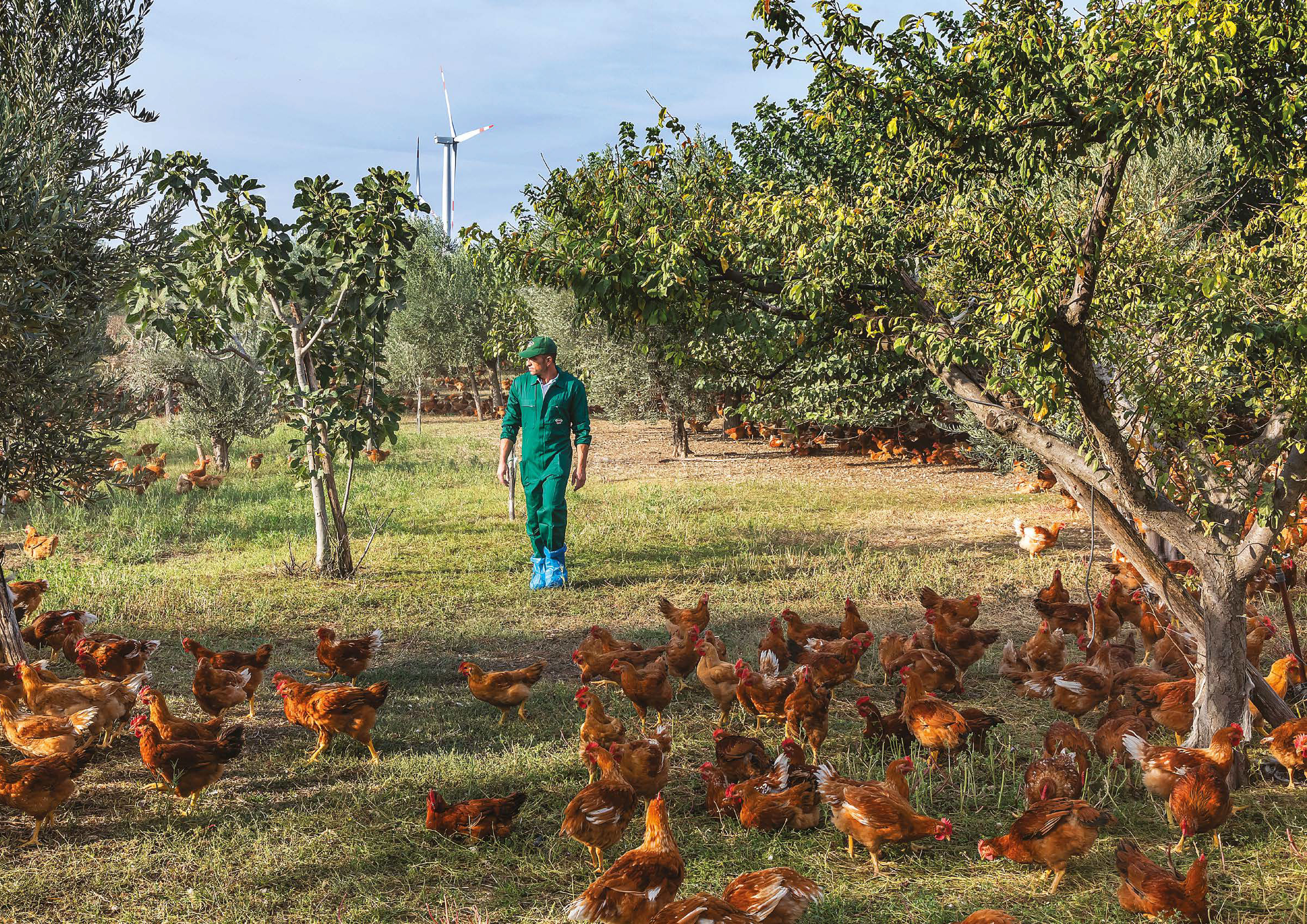 ac48d76965548c15a02838cc721aadf21dc791c6