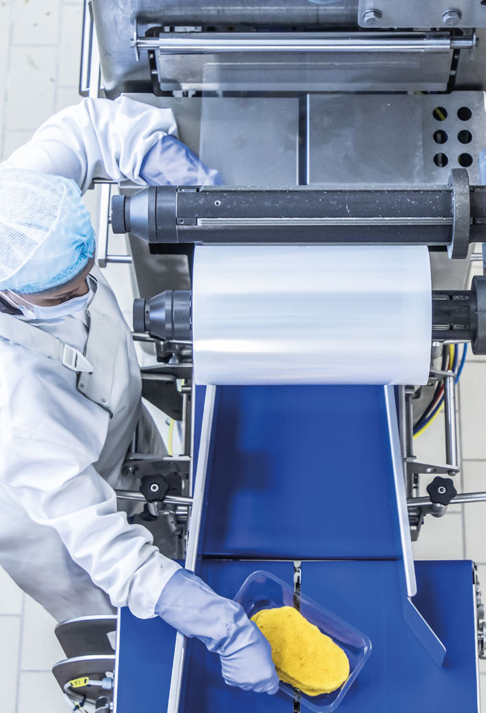 eb605bee8137c7334a494ae5a5fbd3eacd013796