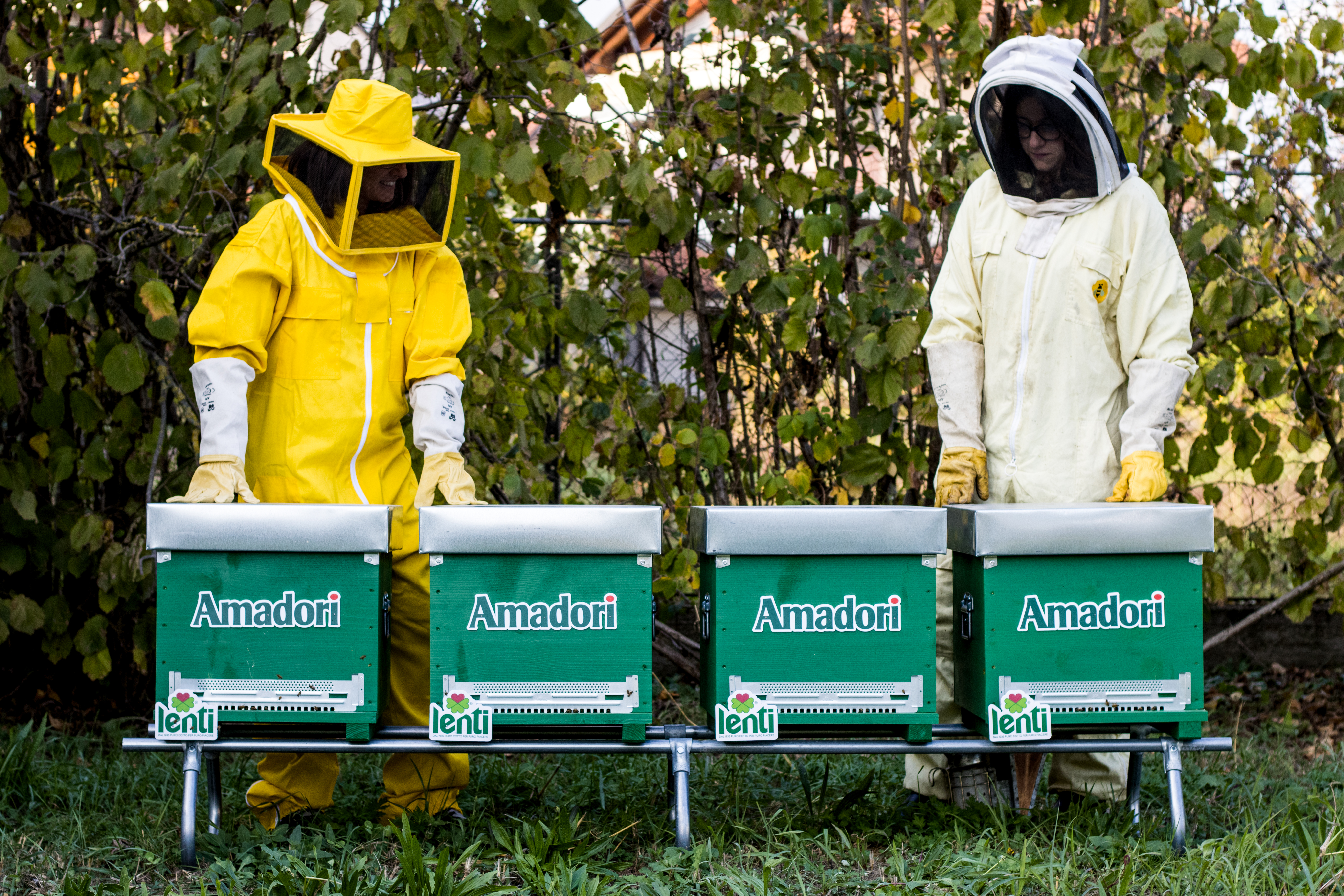 Un nuovo apiario nella sede Lenti per rafforzare la tutela della biodiversità