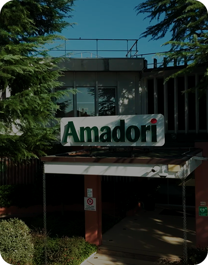 Still 2025-11-20 170444_1.46.1 1