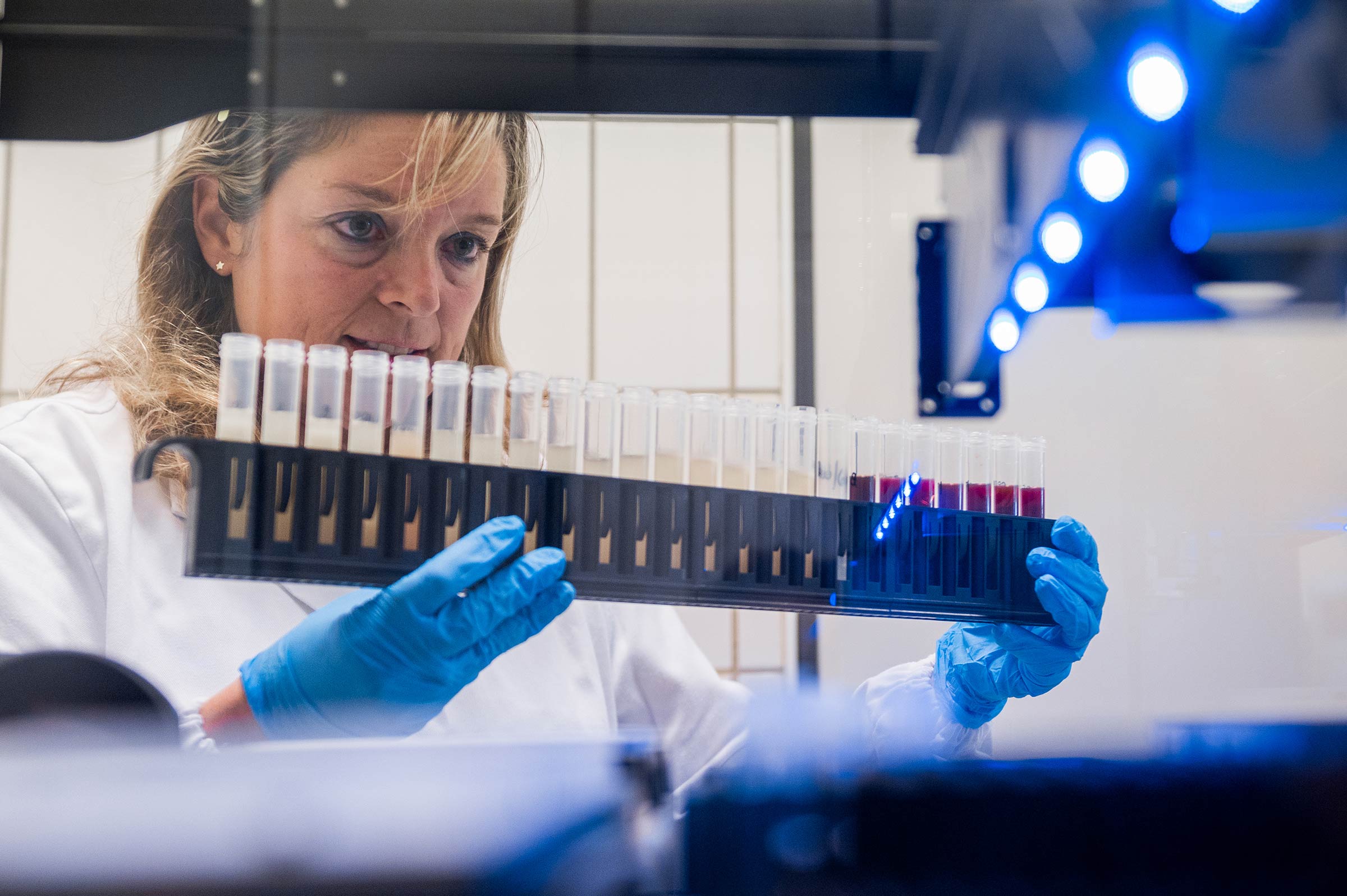 Amadori2022_Laboratorio_3428_edit