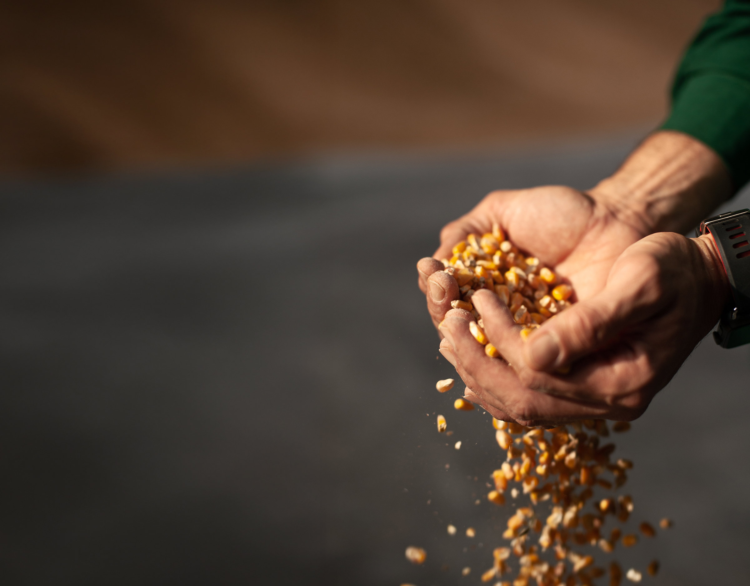 Amadori2022_Mangime_Mangimificio_3231