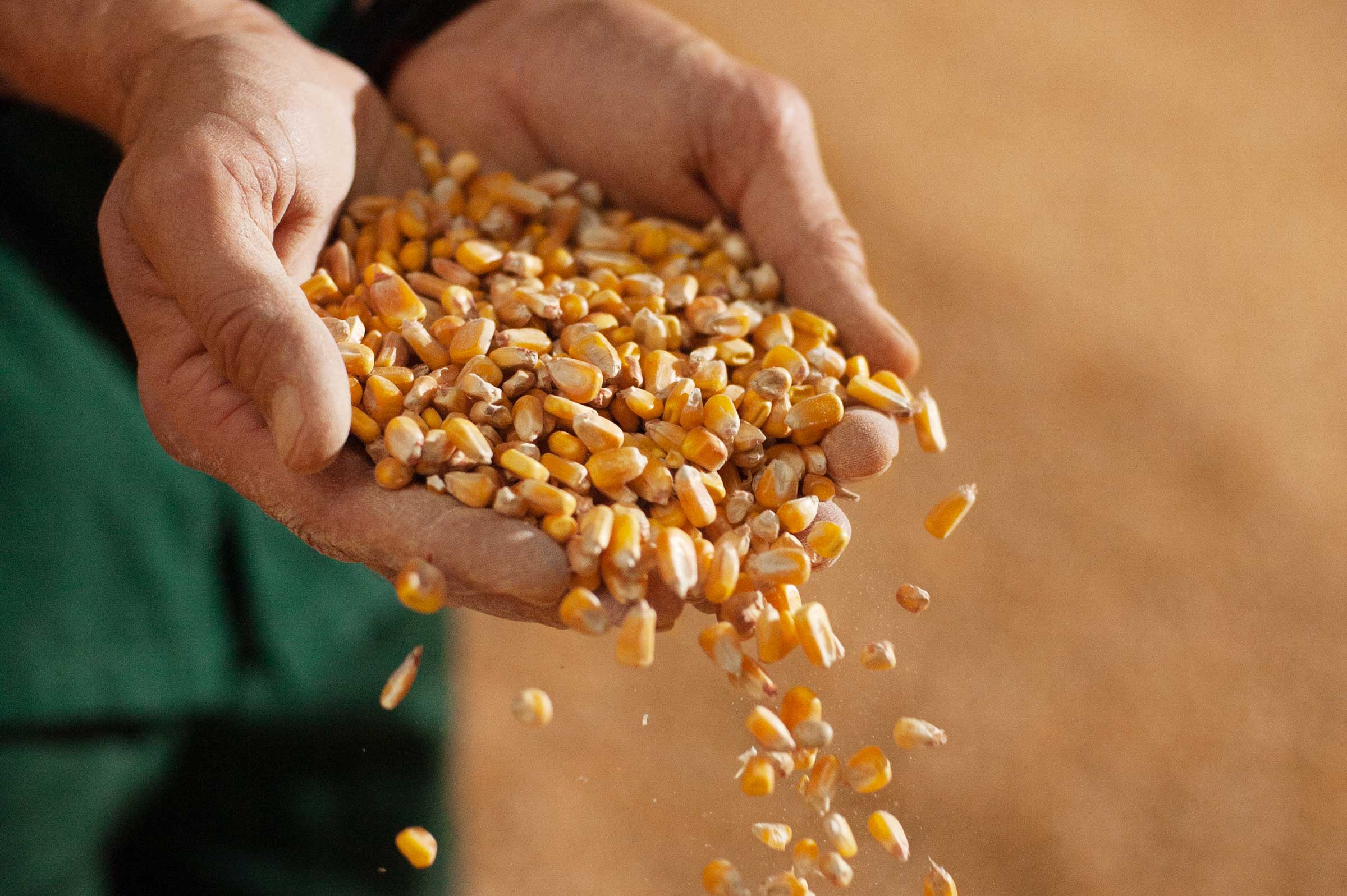 Amadori2022_Mangime_Mangimificio_3281