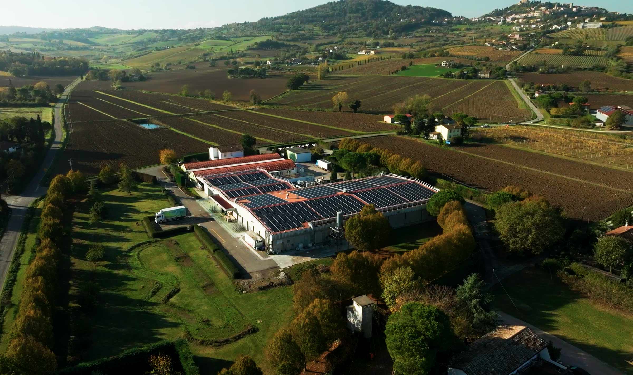 Still-2025-11-20-170444_1.25.1