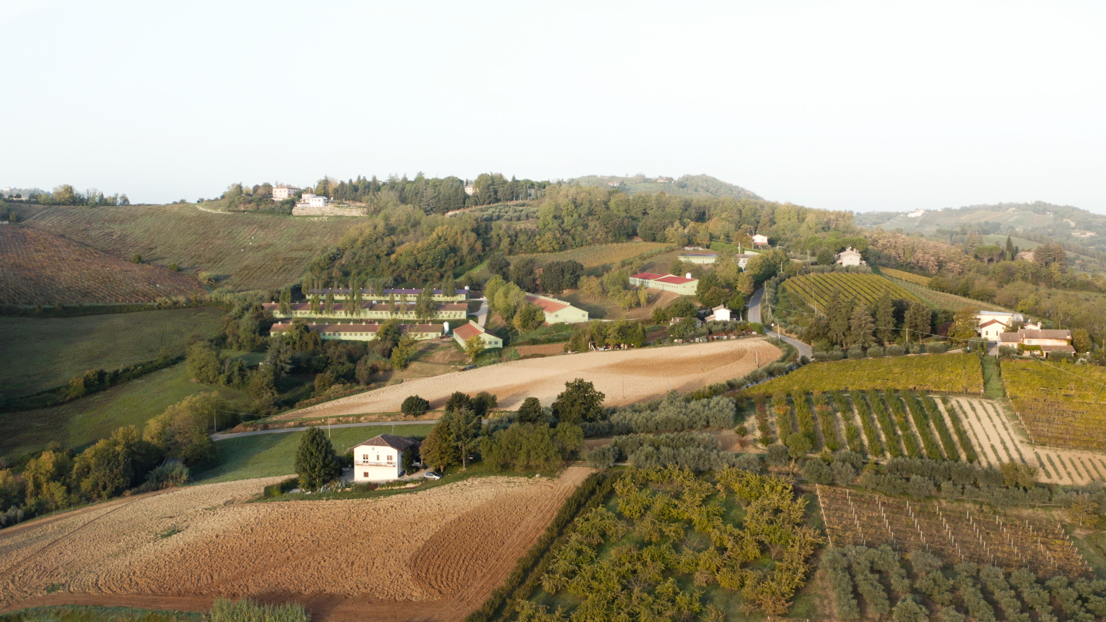 Amadori2022_Drone_05